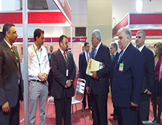 law firm in Egypt